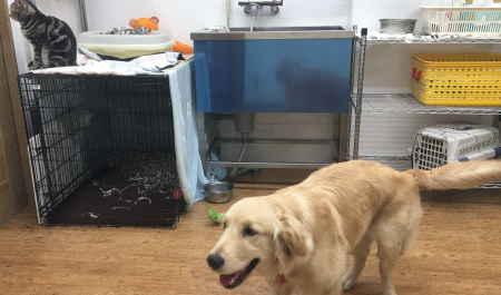 ナゴヤショードッグの店内